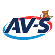AV-S Car Rental & Tours