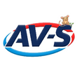 AV-S Car Rental & Tours